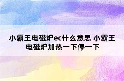 小霸王电磁炉ec什么意思 小霸王电磁炉加热一下停一下